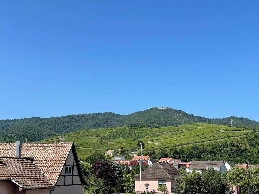 A2 Pas De Colmar Terrasse,Parking Apartment Винценайм Екстериор снимка