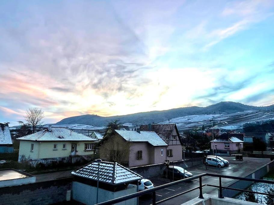 A2 Pas De Colmar Terrasse,Parking Apartment Винценайм Екстериор снимка