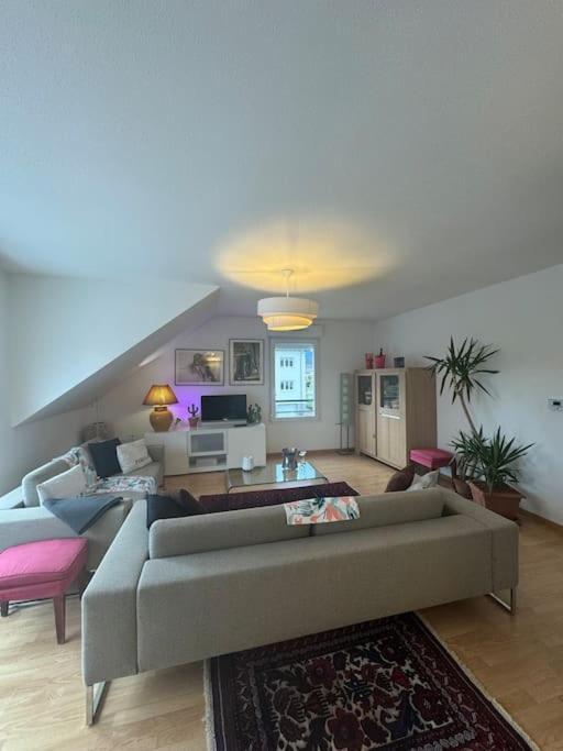 A2 Pas De Colmar Terrasse,Parking Apartment Винценайм Екстериор снимка